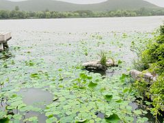 -云龙湖旅游景区