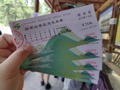 -姑婆山旅游区
