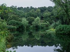 -杭州植物园