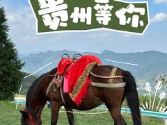 -玉舍国家森林公园