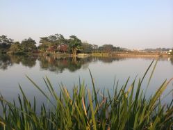 iphone_upload_pic-云湖游乐园