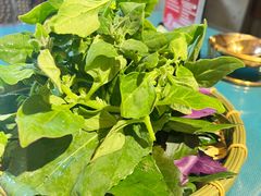 -慢丽江·云南野生菌土鸡锅(付家庄店)