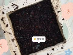 -徐州乐园加勒比水世界