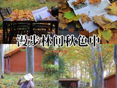 -河南省黄河迎宾馆