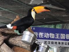 -海合安武汉极地海洋公园