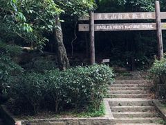 -狮子山郊野公园