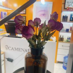 -CAMENAE嘉媚乐