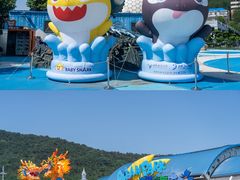 -大连老虎滩海洋公园