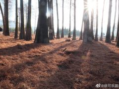 -四明湖