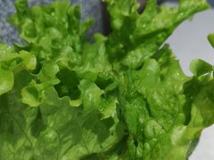 生菜-串一火锅(赛格国际购物中心店)