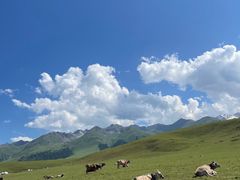 -新疆那拉提国家旅游度假区