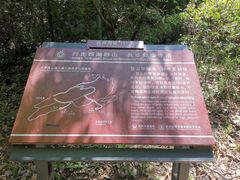 -九曜山