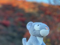 -水峪民俗村