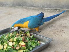 -泉州海丝野生动物世界