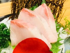 -一本钓鲔鱼屋