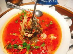 -坛宗剁椒鱼头(河西王府井店)