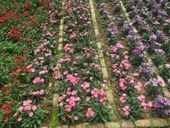 -广东茂名森林公园