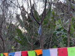 -韶关经律论国际酒店温泉