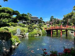 -芽庄珍珠岛游乐园