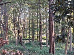 -杭州植物园