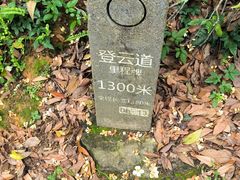 -梧桐山风景名胜区