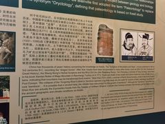 -辽宁古生物博物馆