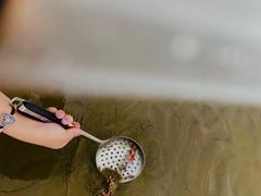 -奉贤海滩