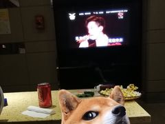 -星光欢乐迪氧吧KTV(南环路店)