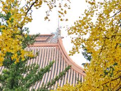 -苏州文庙(姑苏区)