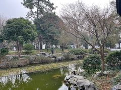 -秋霞圃