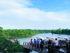 -东寨港红树林旅游区