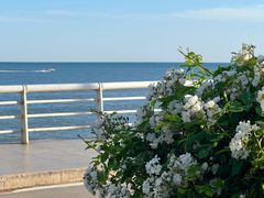 -北戴河转鱼·炒螃蟹酱餐厅