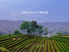 -西湖风景区十里琅珰-五云山