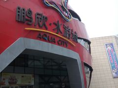 -鹏欣水游城