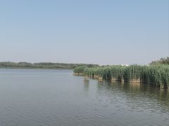 -西青郊野公园