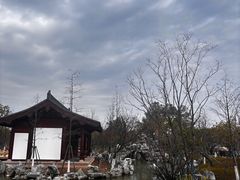 -江心屿景区