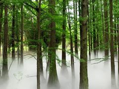 -东湖落雁景区