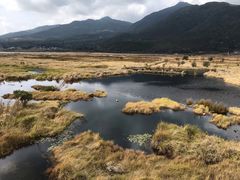 -腾冲北海湿地