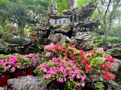 -上海醉白池公园