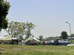 -两河城市森林公园