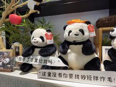 -轩客会(熊猫书店)