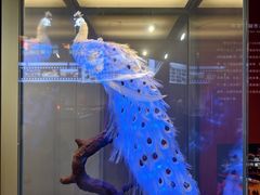 -中国彩灯博物馆