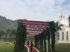 -南宁花花大世界景区