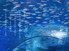 -南京海底世界
