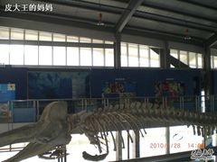 -上海海洋大学鱼文化博物馆(军工路校区)