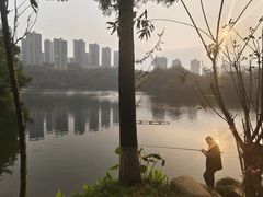 -重庆彩云湖湿地公园