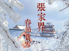 -张家界天门山国家森林公园