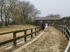 -苏州太湖西山岛开心农场