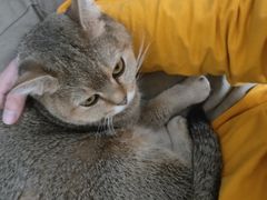 -佳雯宠物医院·皮肤科·内外科(春晓路分院)