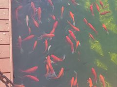 -拜将坛